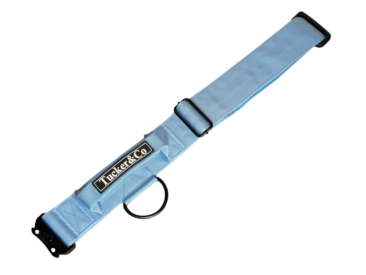 Tucker&Co London Tactical Collar with Handle in Sky Blue.